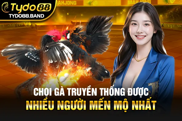 Chọi gà truyền thống được nhiều người mến mộ nhất