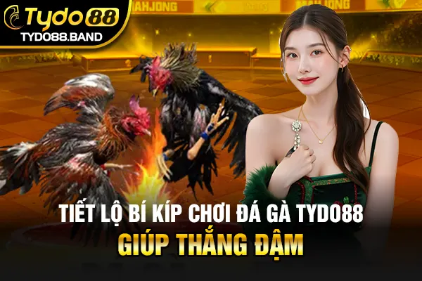 Tiết lộ bí kíp chơi đá gà TYDO88 giúp thắng đậm