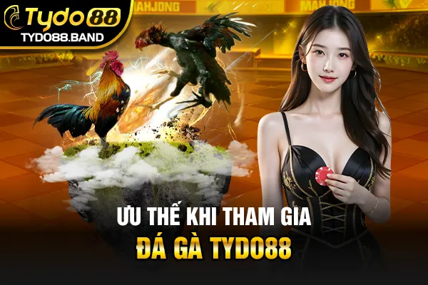 Ưu thế khi tham gia đá gà TYDO88