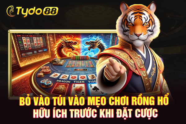 Bỏ vào túi vào mẹo chơi rồng hổ hữu ích trước khi đặt cược