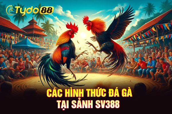 Các hình thức đá gà tại sảnh SV388