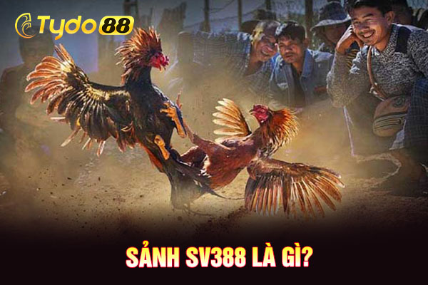 Sảnh SV388 là gì?