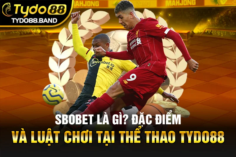 Sbobet Là Gì? Đặc Điểm Và Luật Chơi Tại Thể Thao TYDO88