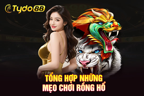 Tổng hợp những mẹo chơi rồng hổ